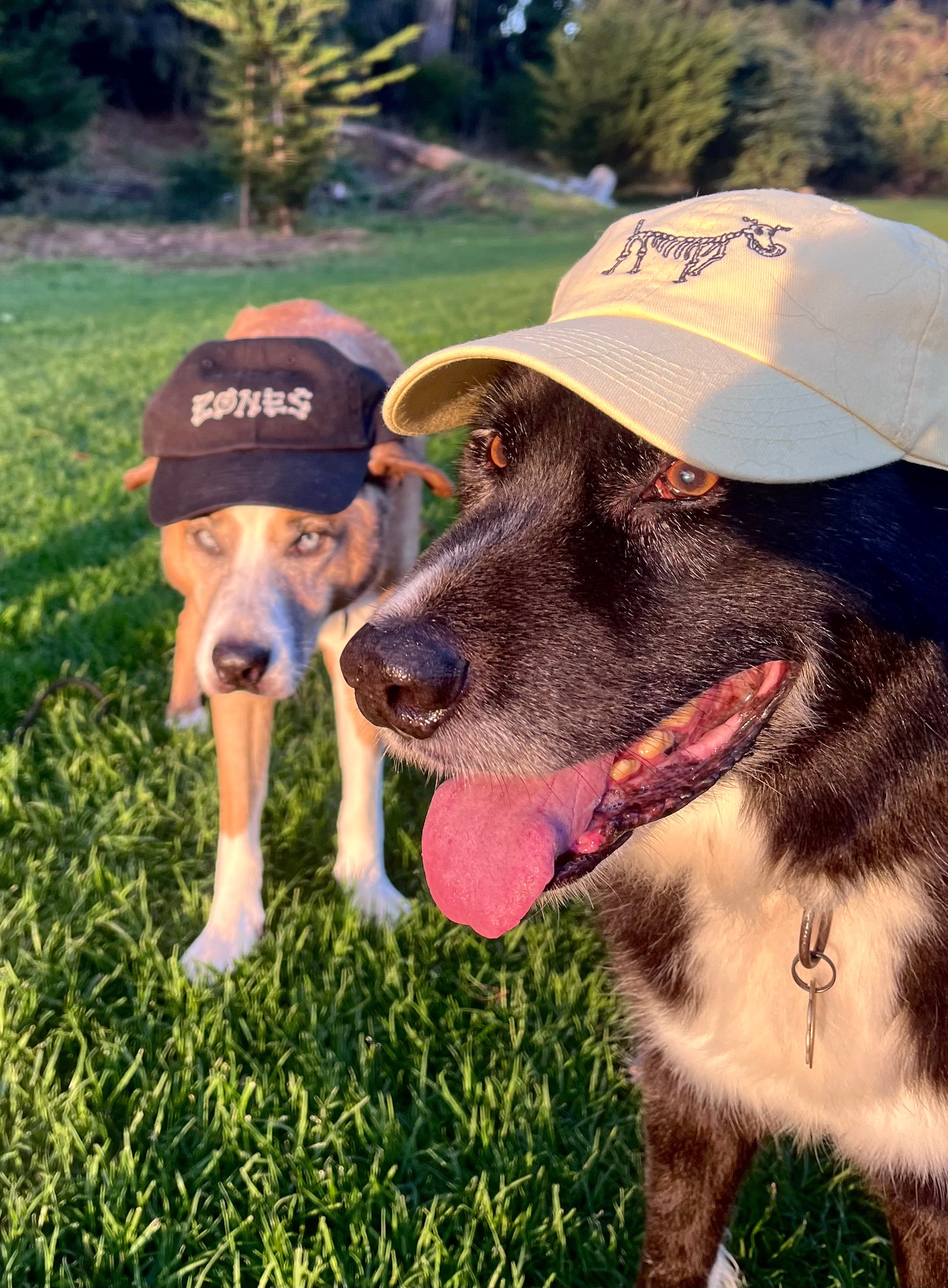 Yellow dog hat on sale